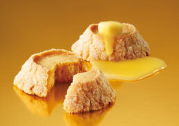 サロンからのご案内;